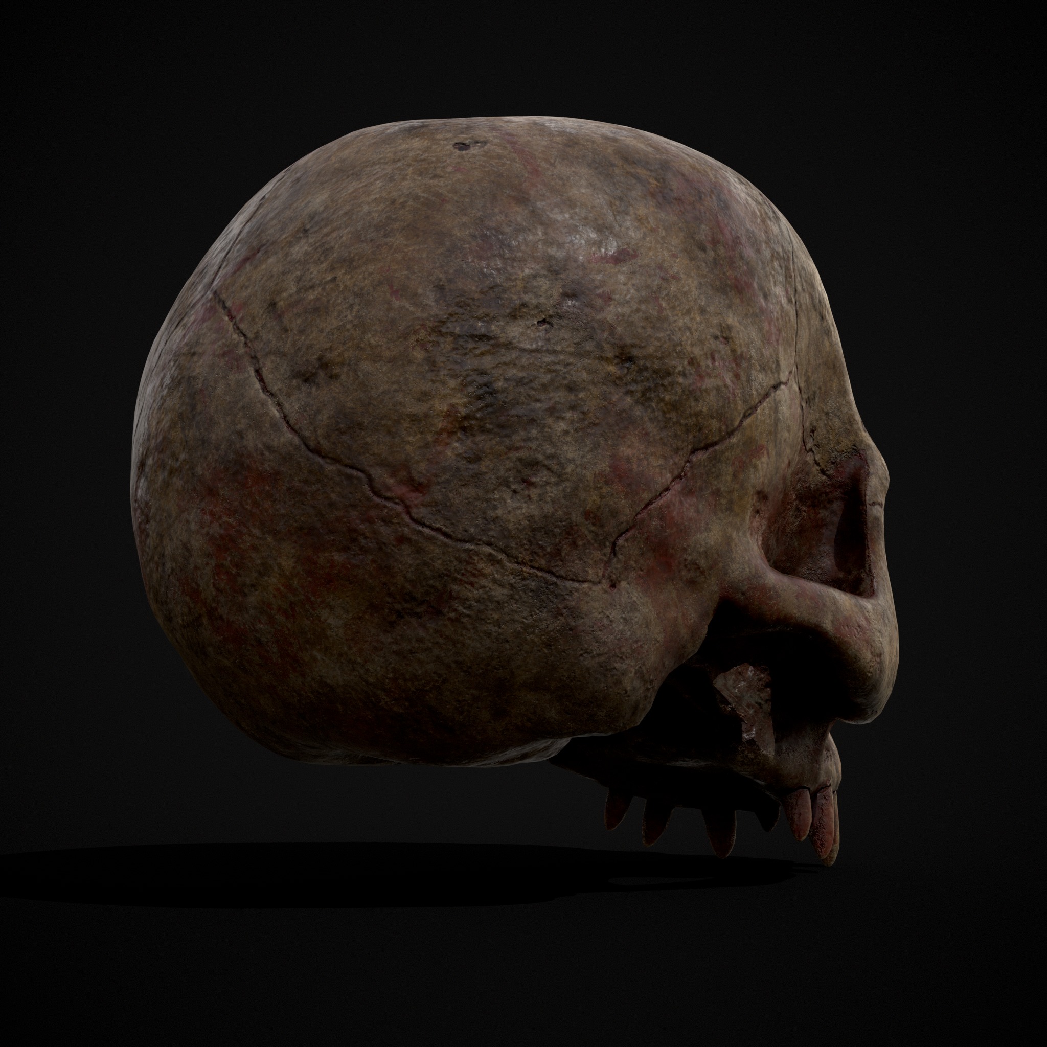 Child Vampire Skull Low-poly 3D model_12