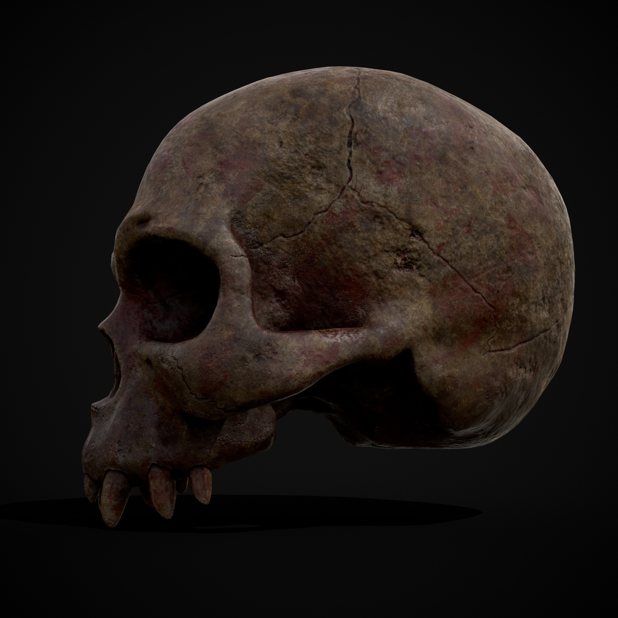 Child Vampire Skull Low-poly 3D model_8