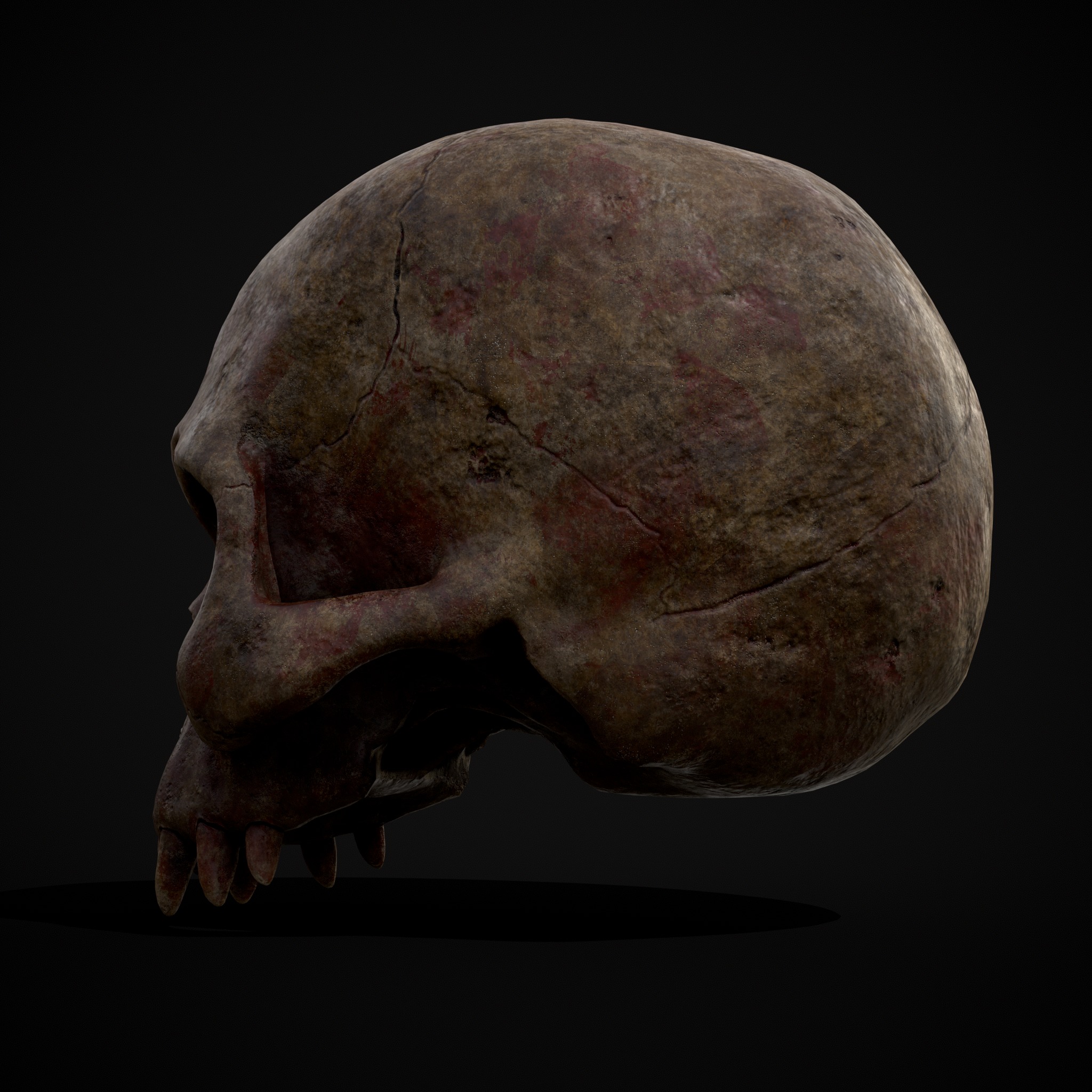 Child Vampire Skull Low-poly 3D model_9