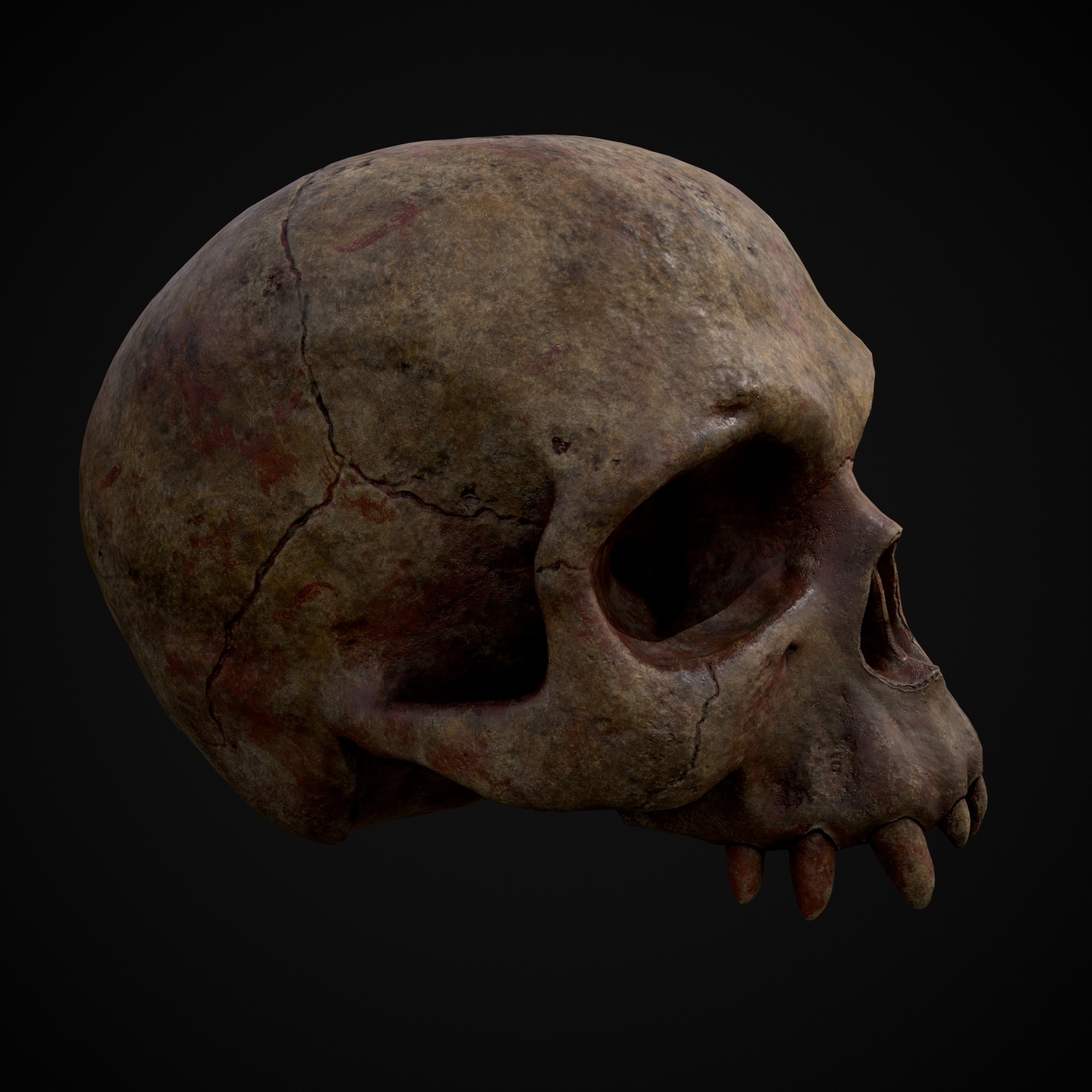 Child Vampire Skull Low-poly 3D model_20