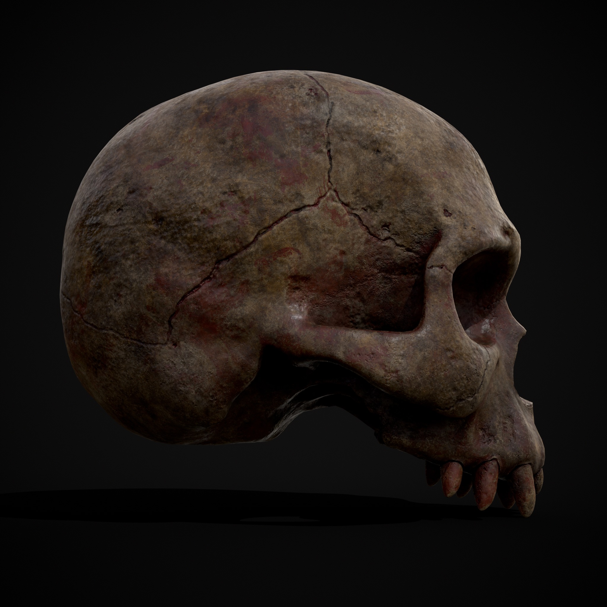 Child Vampire Skull Low-poly 3D model_13