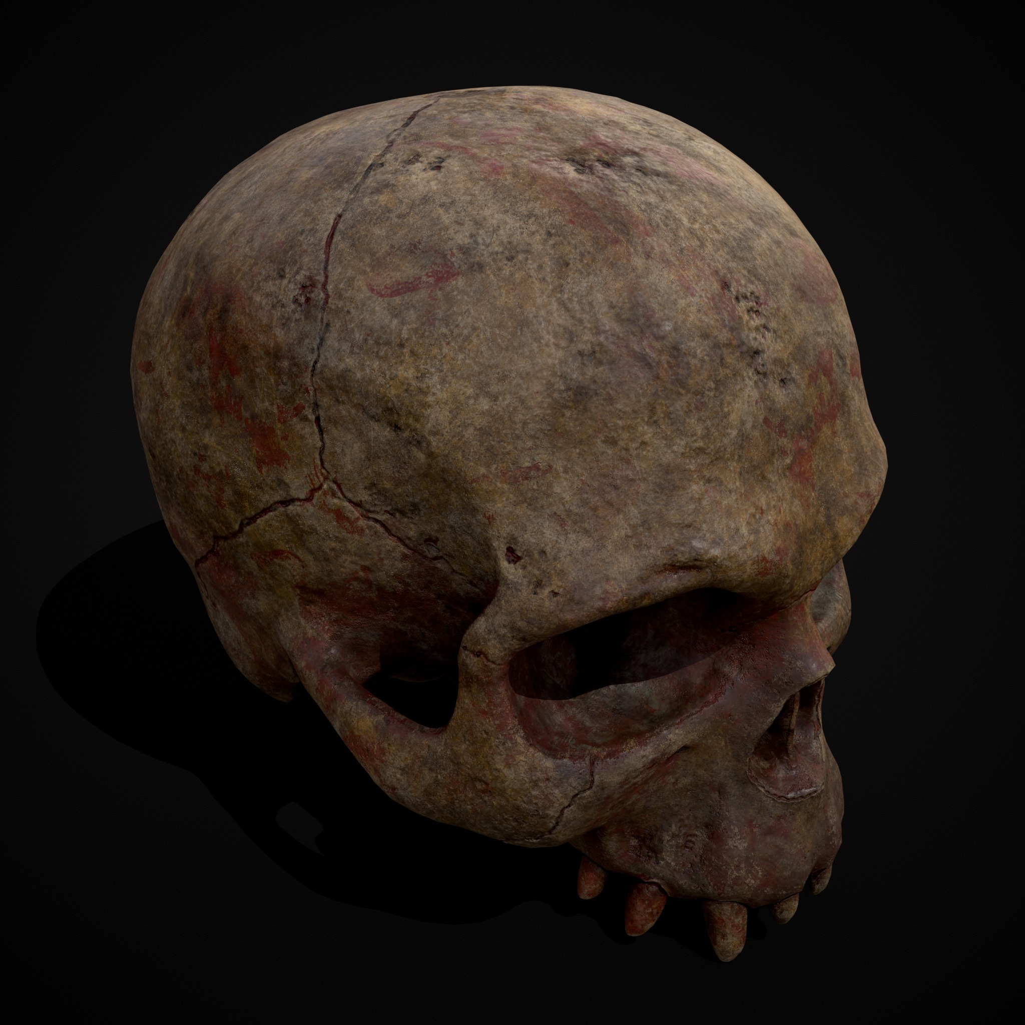 Child Vampire Skull Low-poly 3D model_15