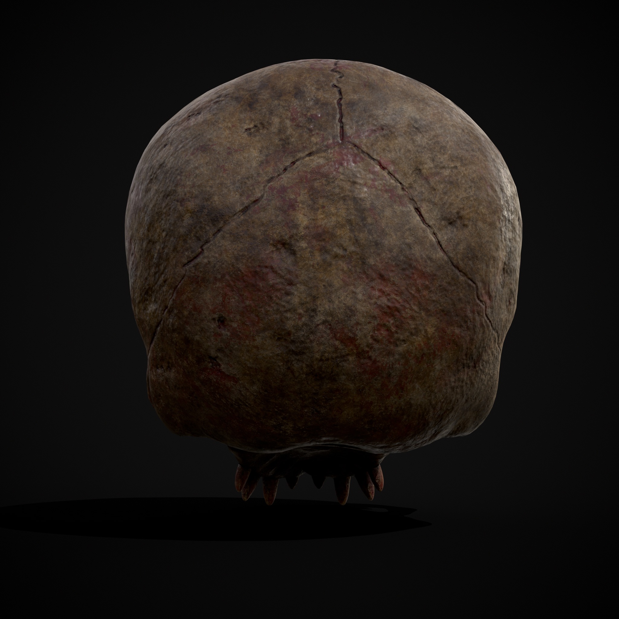 Child Vampire Skull Low-poly 3D model_11