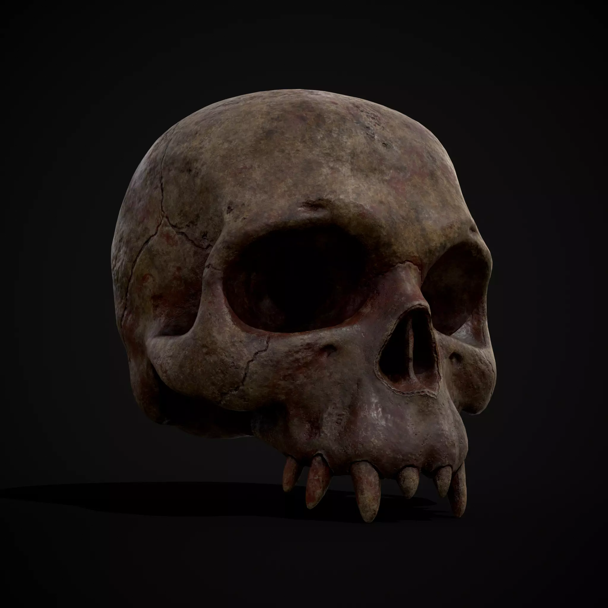 Child Vampire Skull Low-poly 3D model_0