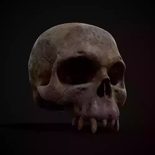 Child Vampire Skull