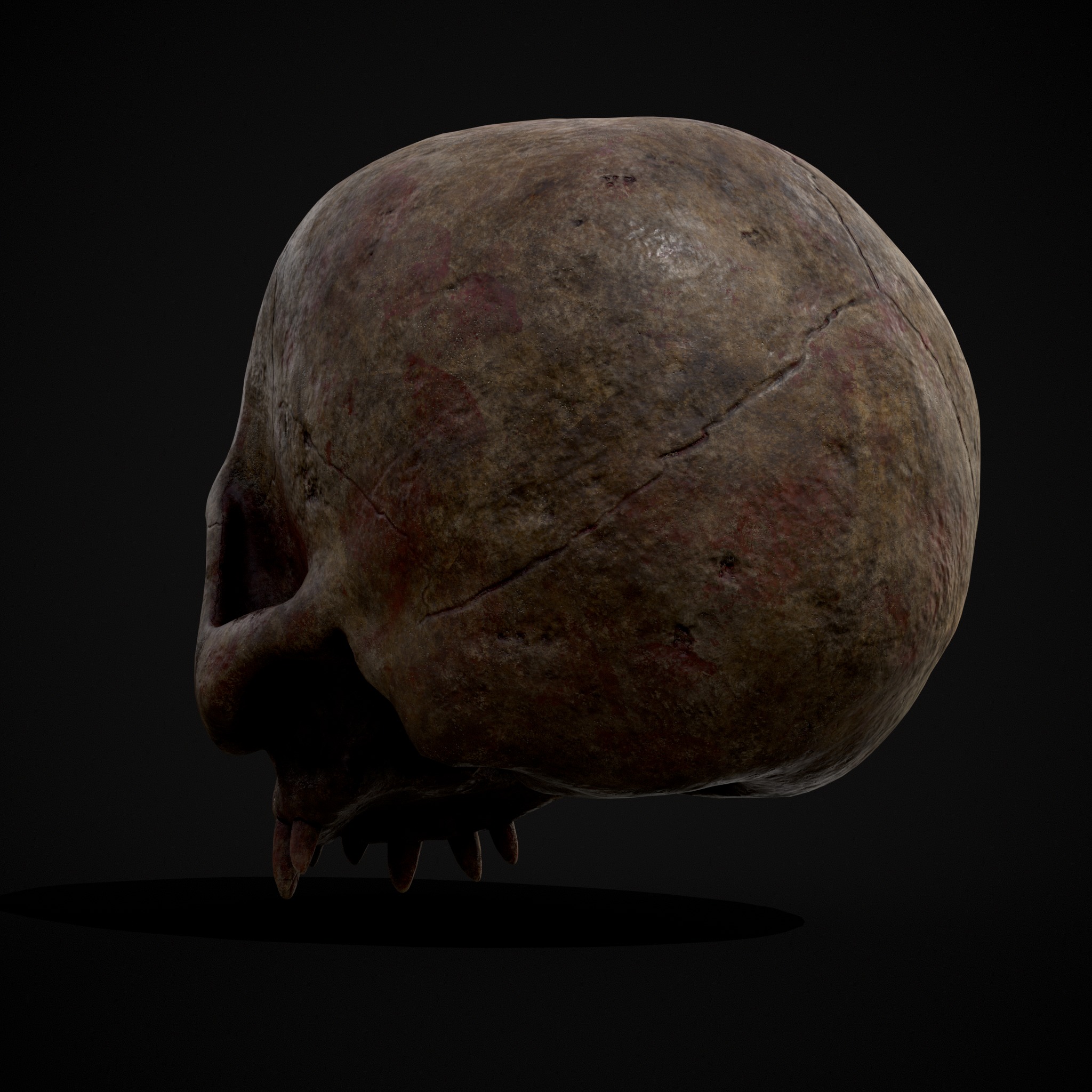 Child Vampire Skull Low-poly 3D model_10