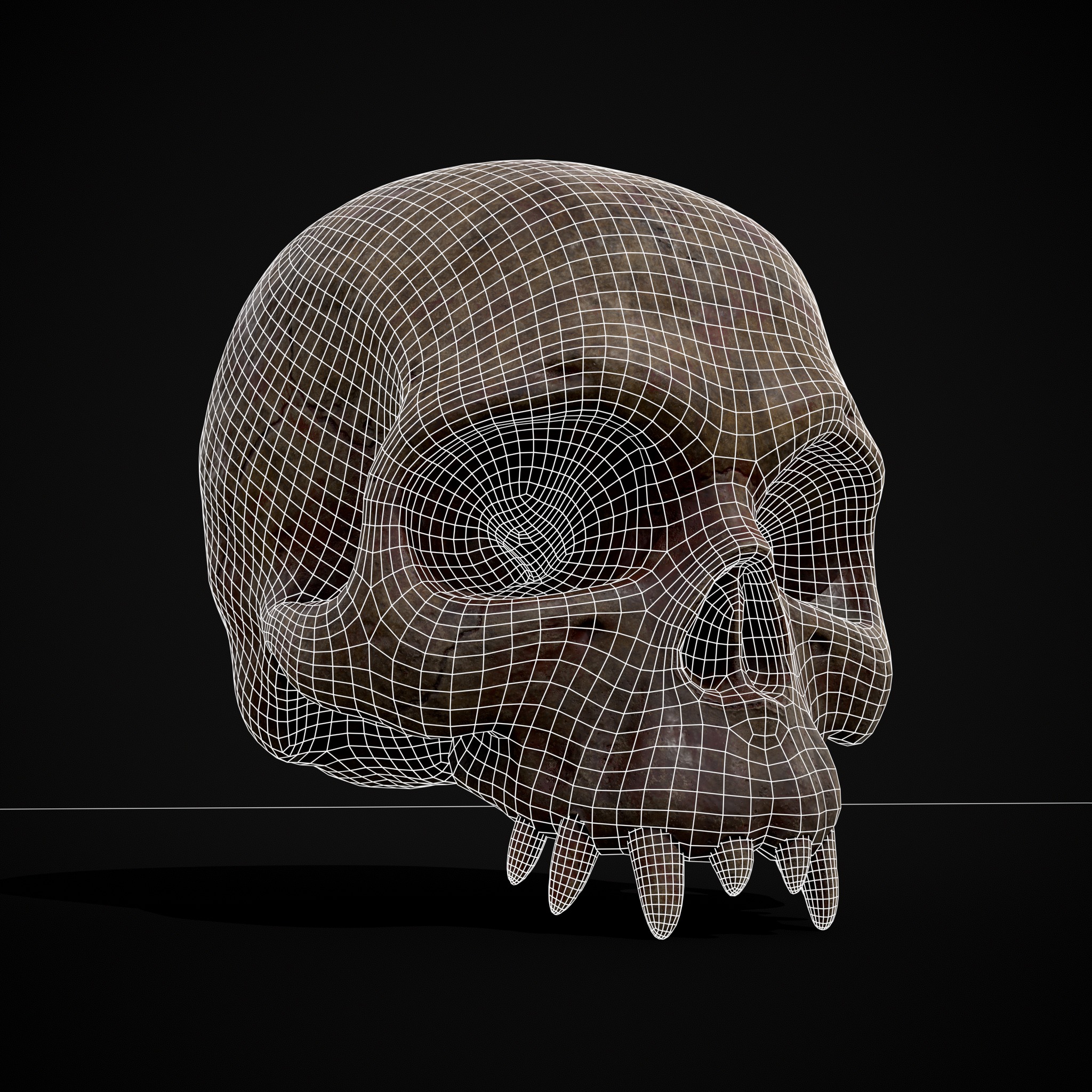 Child Vampire Skull Low-poly 3D model_2
