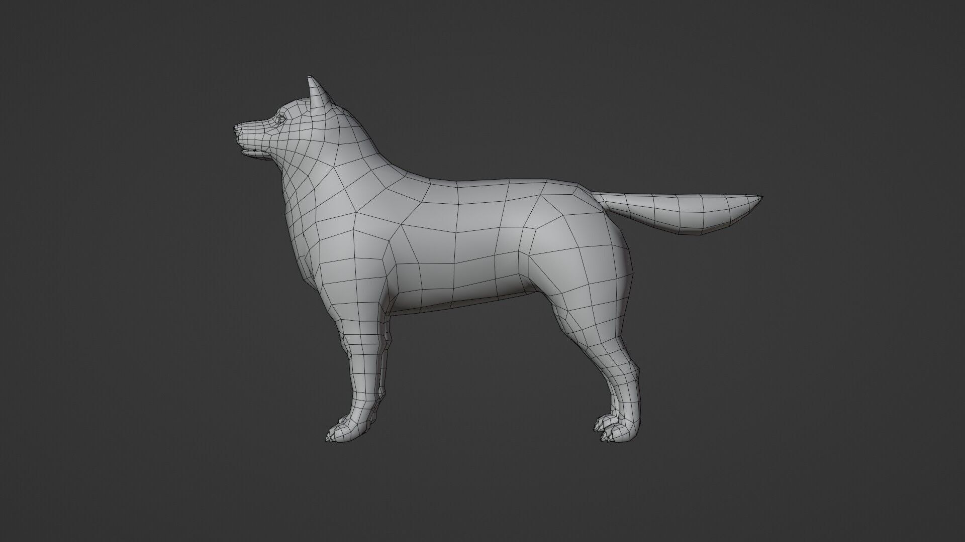 Shiba Dog - NPR Free low-poly 3D model_3