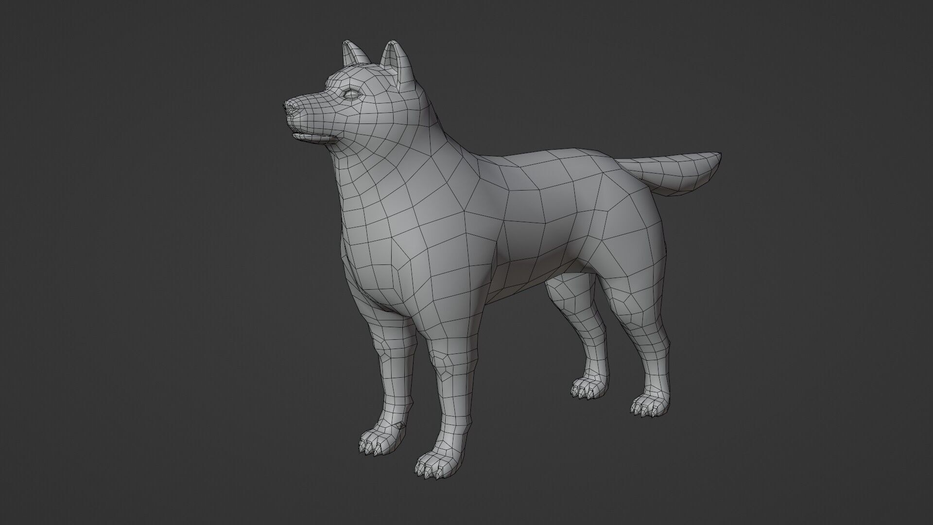 Shiba Dog - NPR Free low-poly 3D model_4