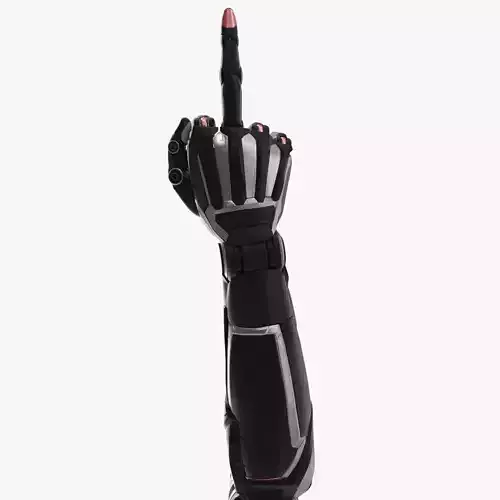 Cyborg arm shows middle finger  3D model