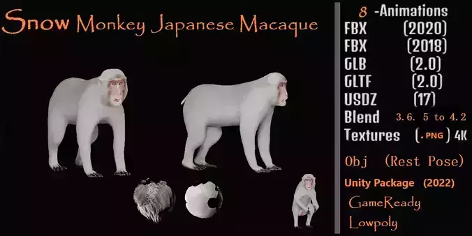 Snow Monkey Japanese Macaque Low-poly 3D model