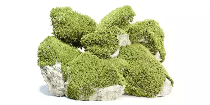 3D Mossy Rock Collection Vol 283 3D model