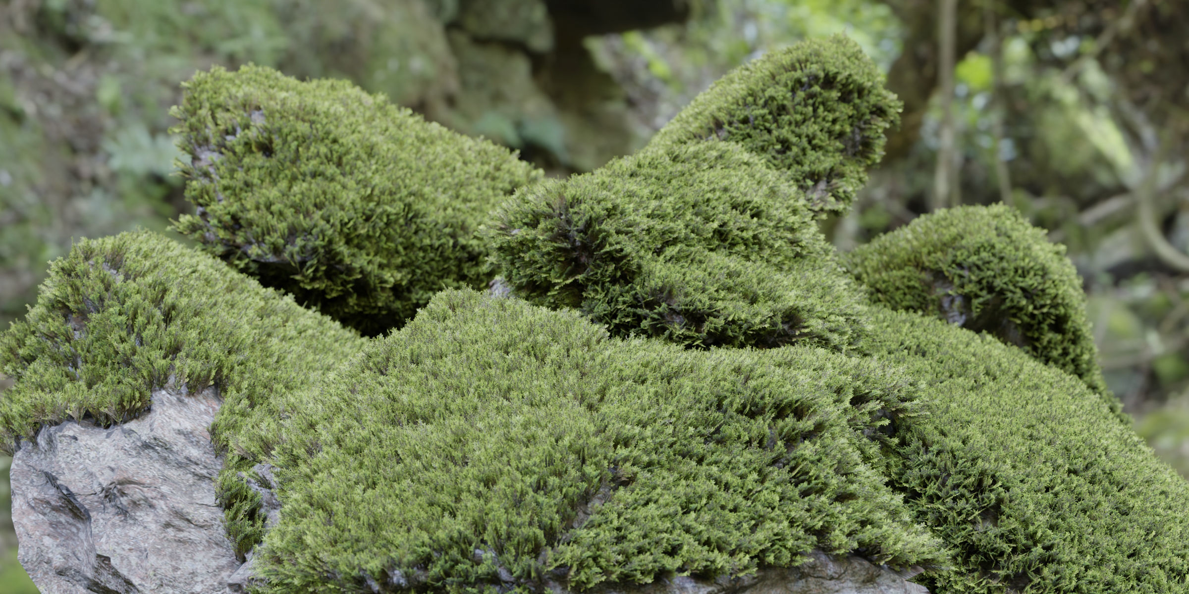 3D Mossy Rock Collection Vol 283 3D model_1