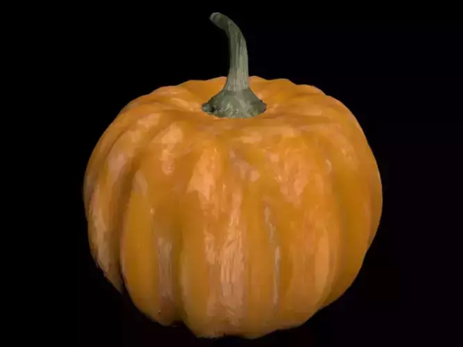 Halloween Pumpkin