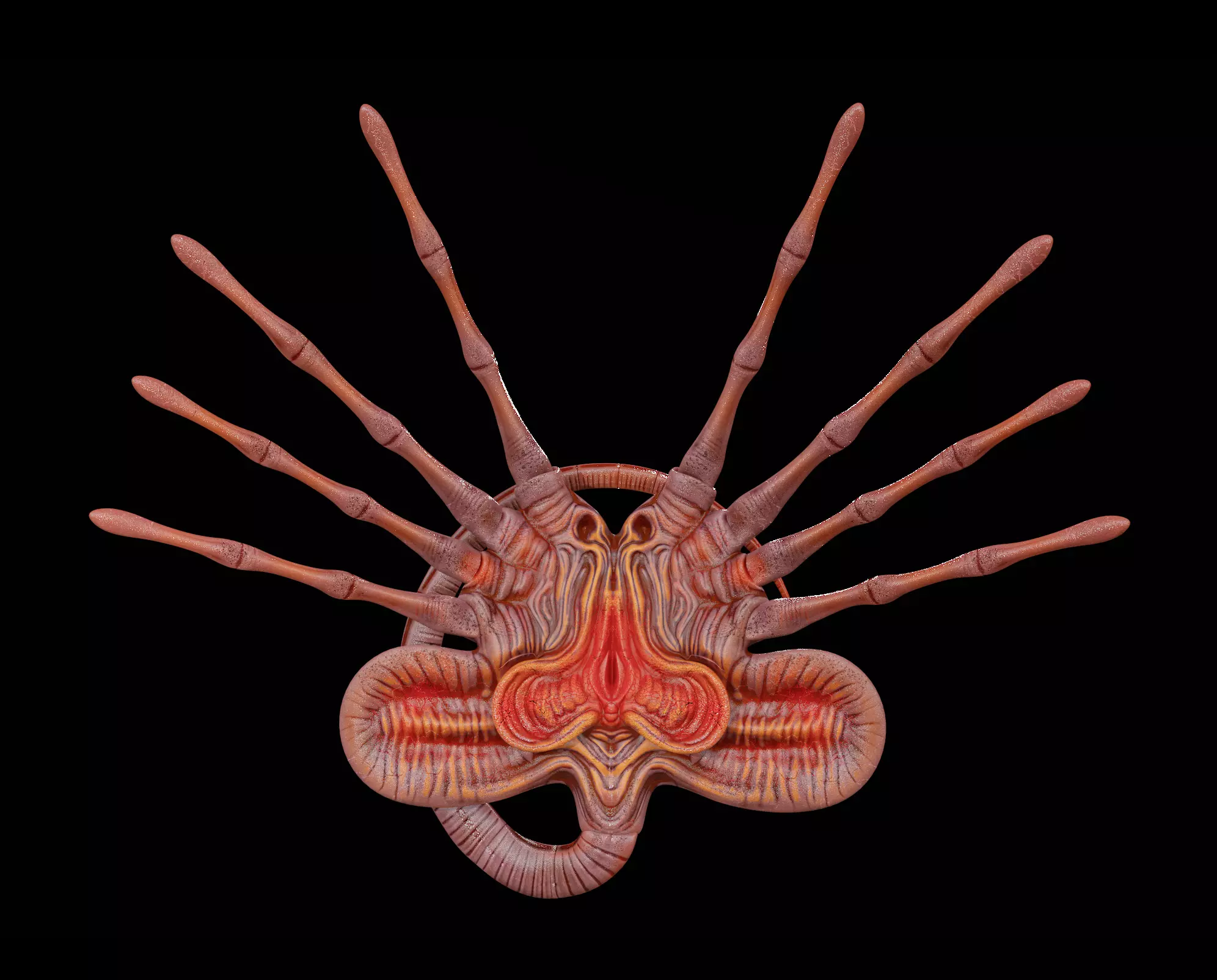 Facehugger Pbr Low-poly 3D model_0
