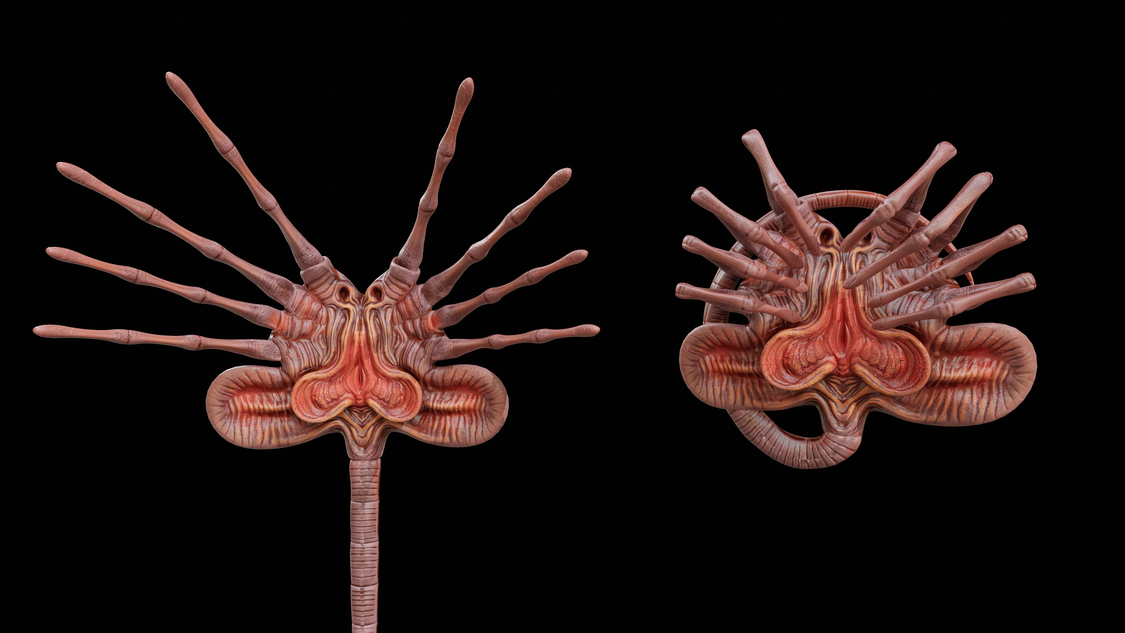 Facehugger Pbr Low-poly 3D model_1