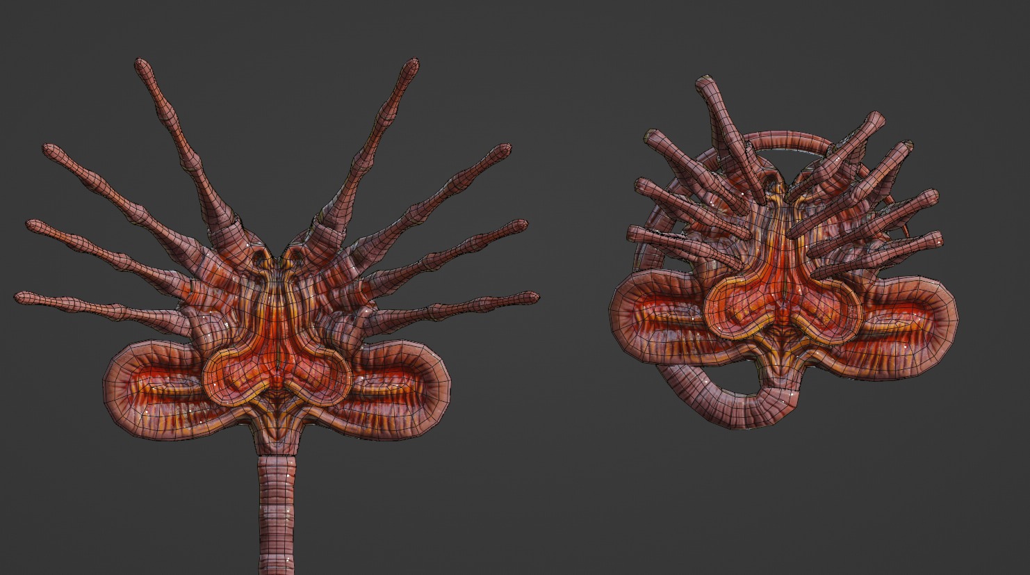 Facehugger Pbr Low-poly 3D model_5