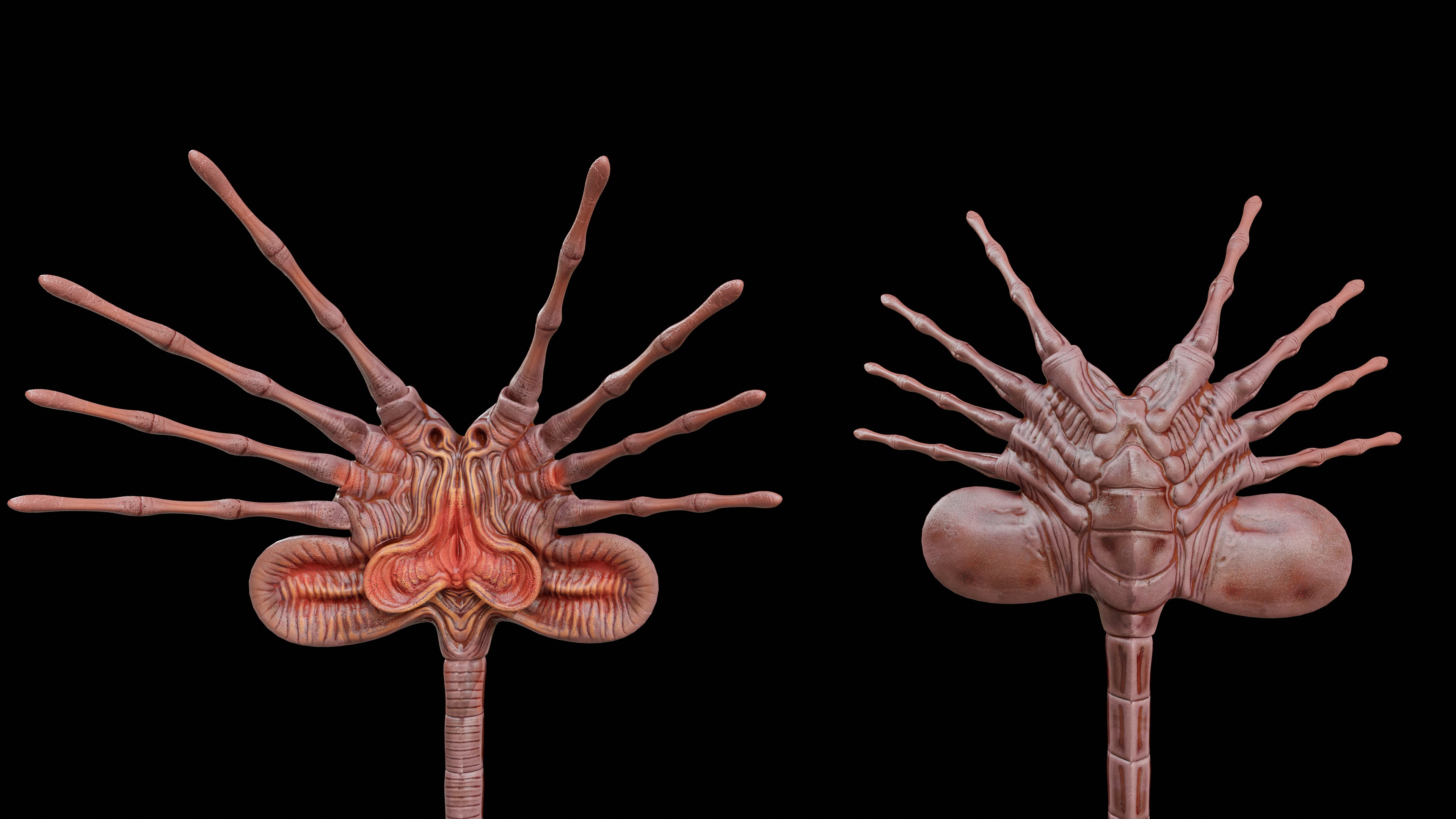 Facehugger Pbr Low-poly 3D model_2