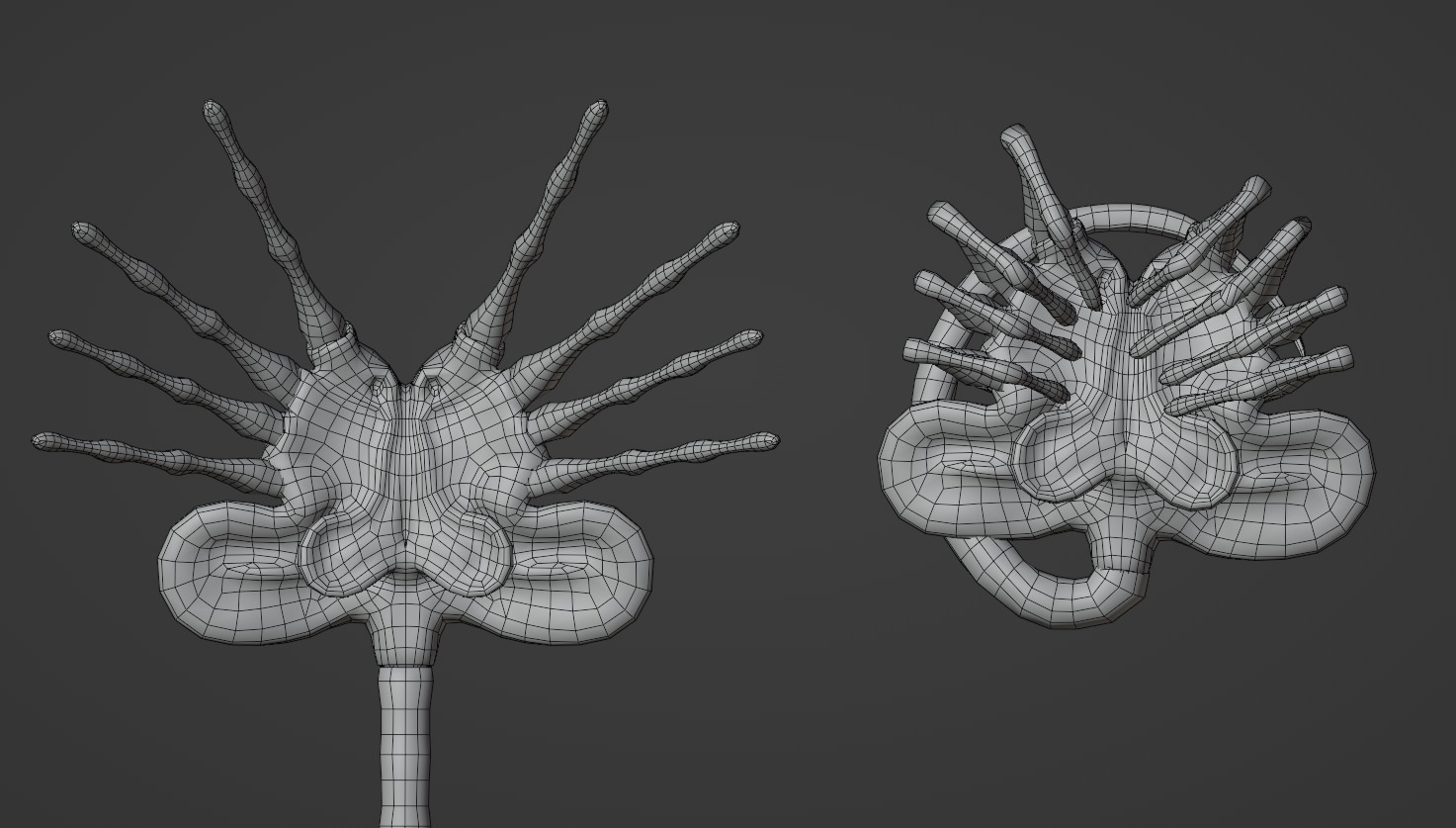 Facehugger Pbr Low-poly 3D model_3