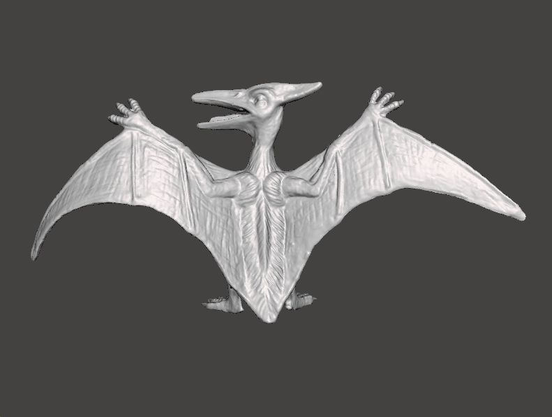JP PTERODACTYL FIGURE MODEL ANIMAL CREATURE WILDLIFE 3D print model_5