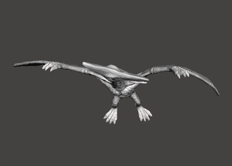 JP PTERODACTYL FIGURE MODEL ANIMAL CREATURE WILDLIFE 3D print model_6