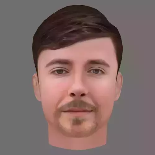 MrBeast - Jimmy- Donaldson Head - Low poly head for game Low-poly 3D model