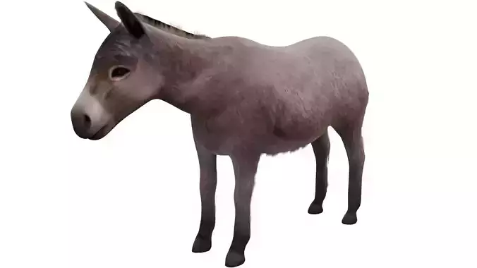 Donkey 3D model
