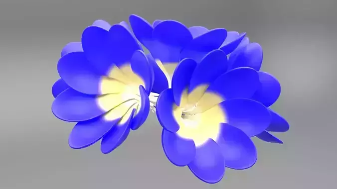 Blue Flowers