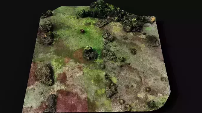 grassfield forest area drone photogrammetry