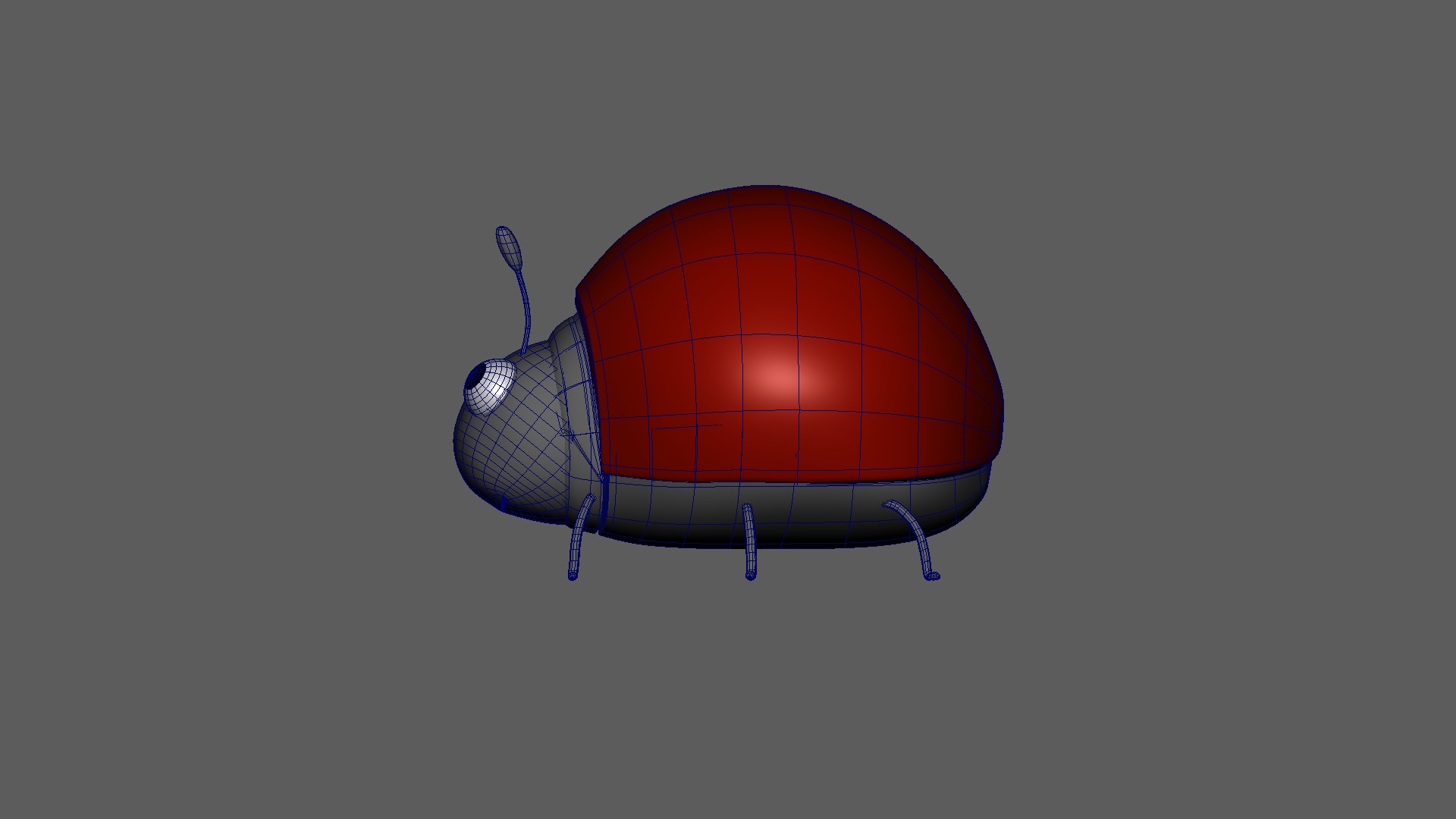 coccinella septempunctata rigged 3D model_10