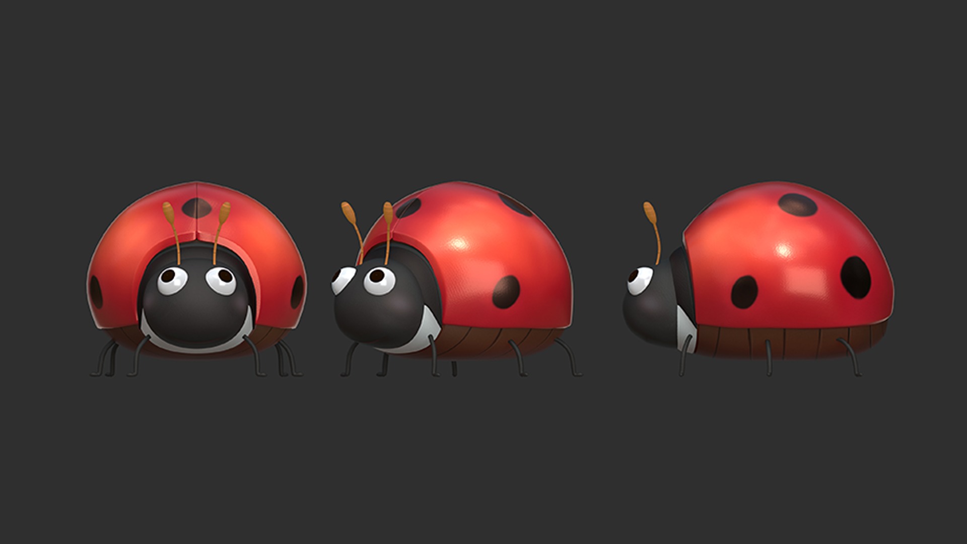 coccinella septempunctata rigged 3D model_1