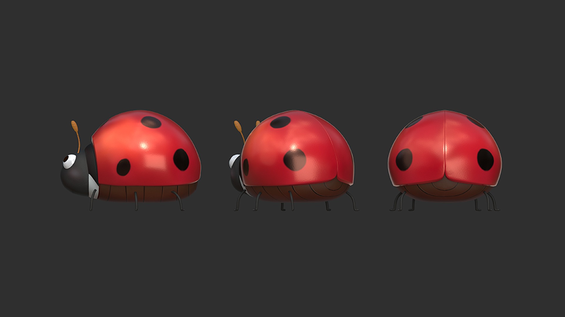 coccinella septempunctata rigged 3D model_2