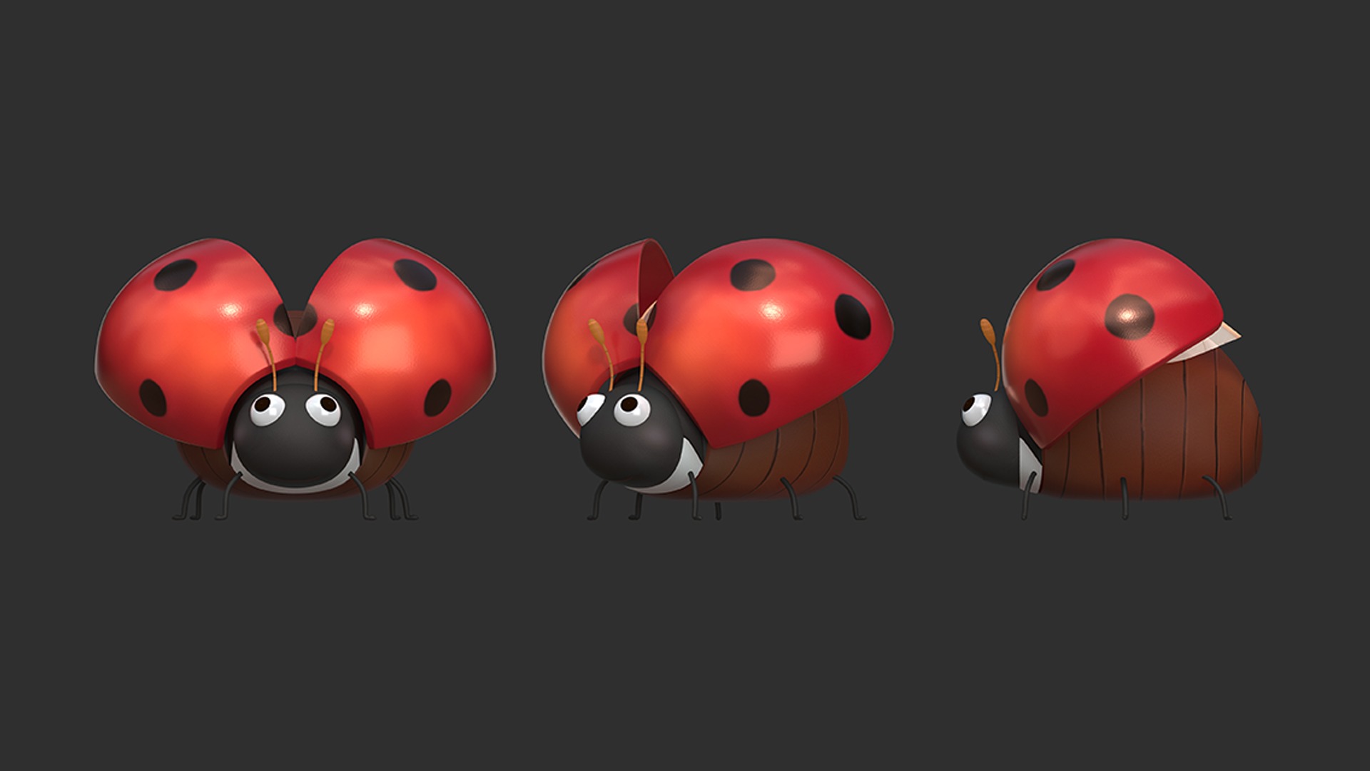 coccinella septempunctata rigged 3D model_3