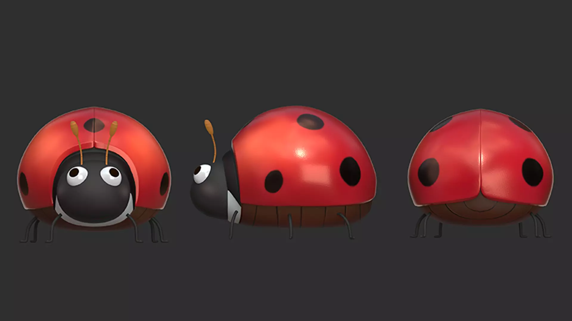 coccinella septempunctata rigged 3D model_0