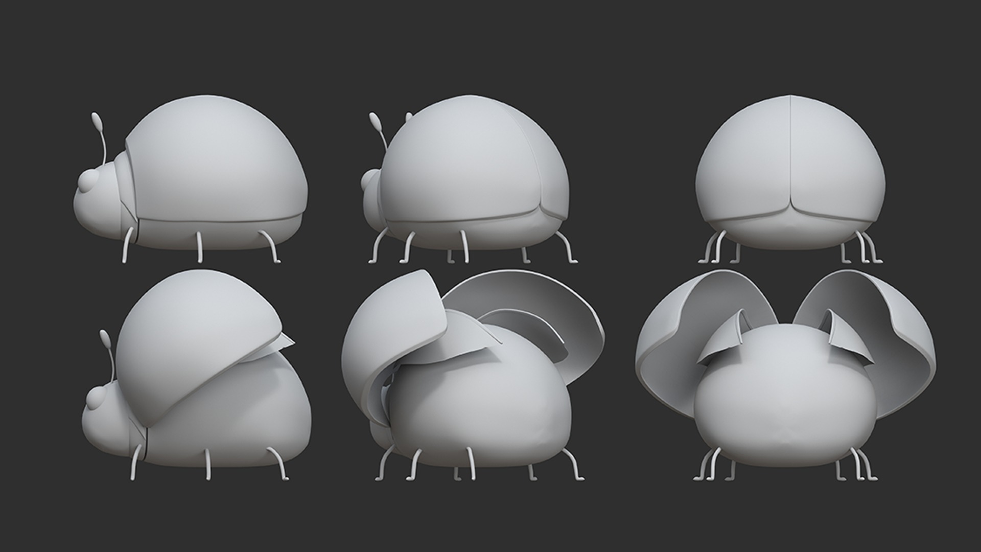 coccinella septempunctata rigged 3D model_7