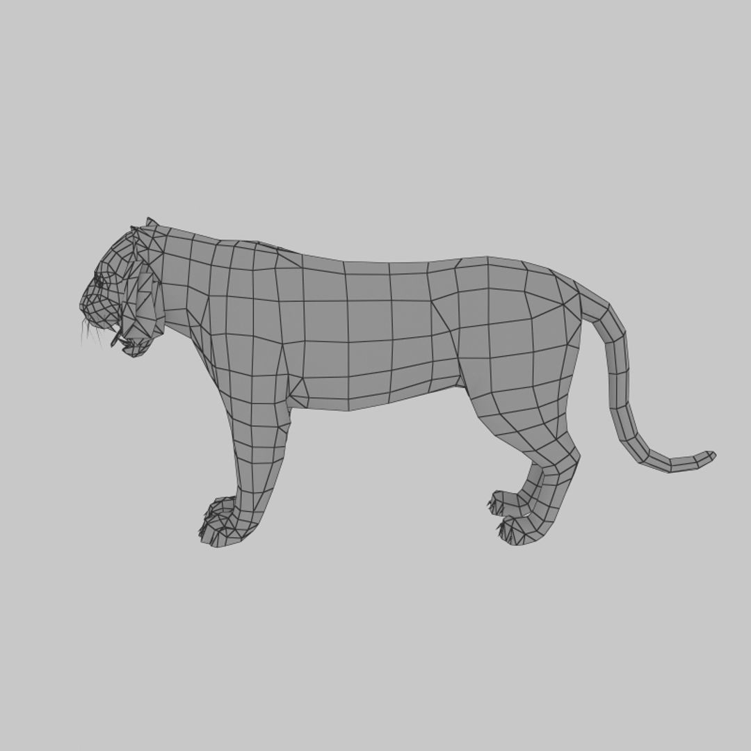 Tiger 3D model_3