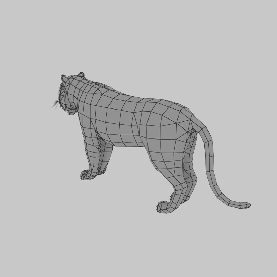 Tiger 3D model_5