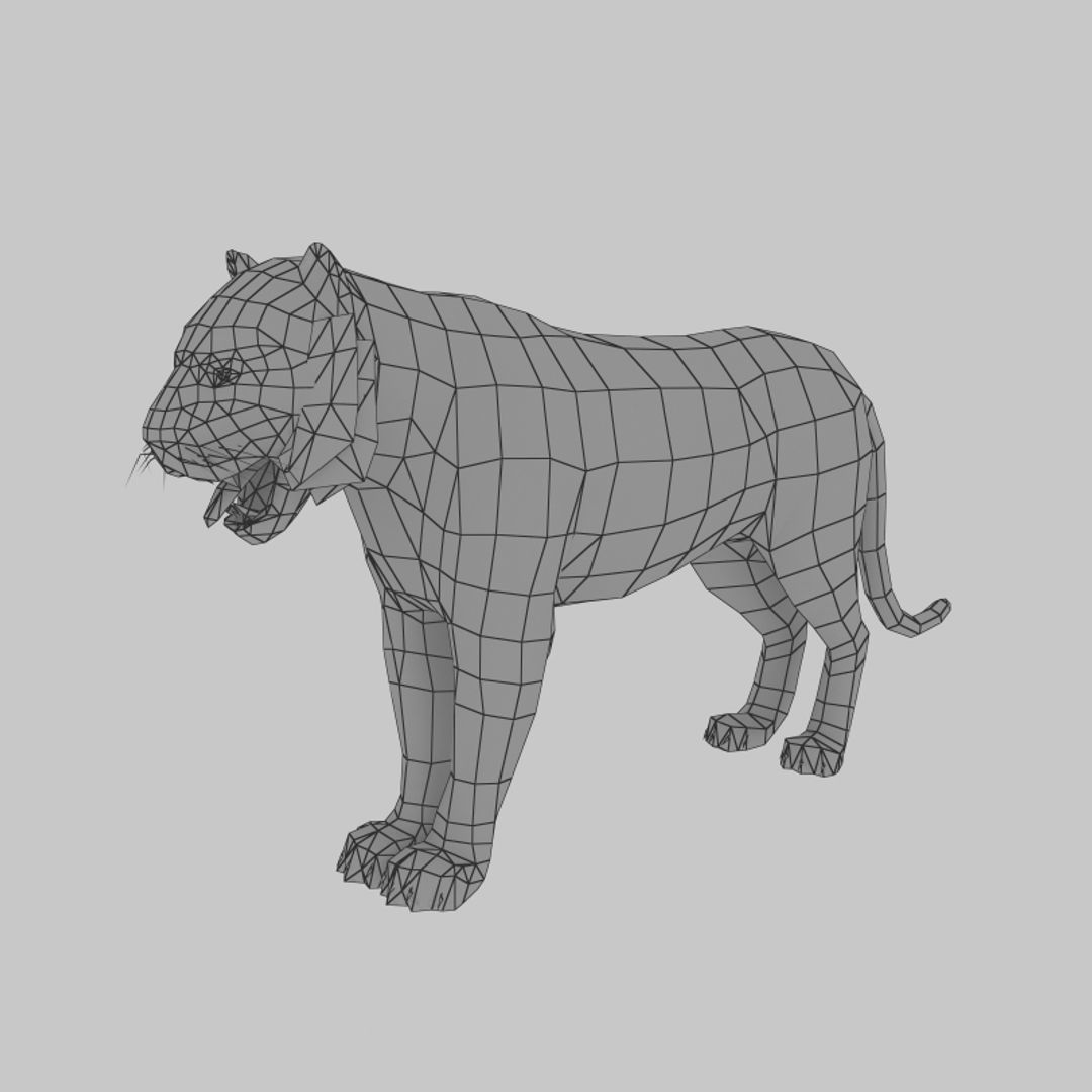 Tiger 3D model_1