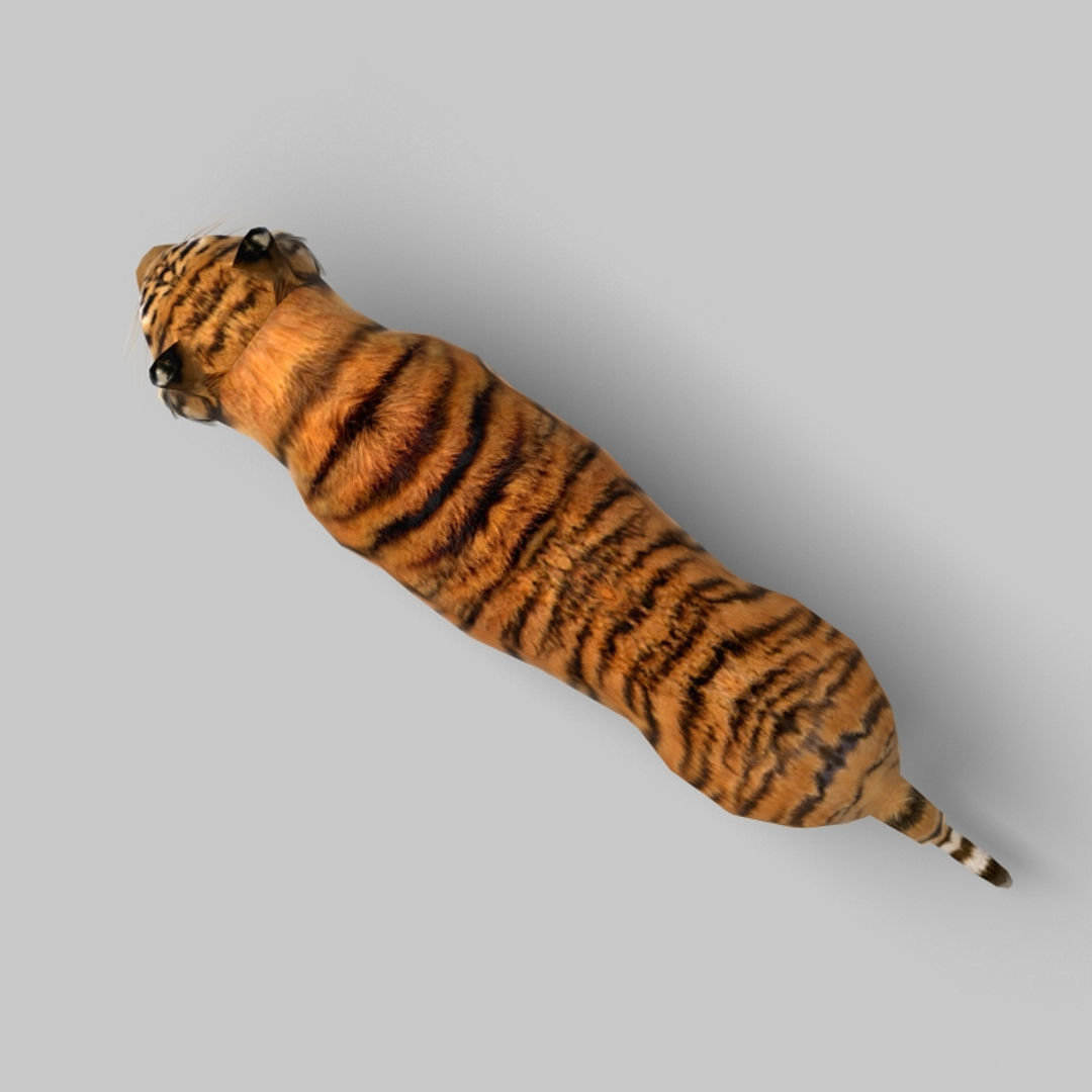 Tiger 3D model_6
