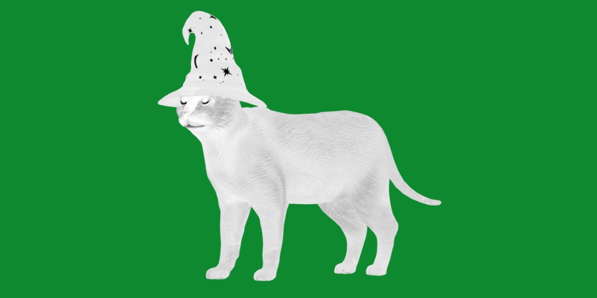 Halloween Black Cat Low-poly 3D model_23