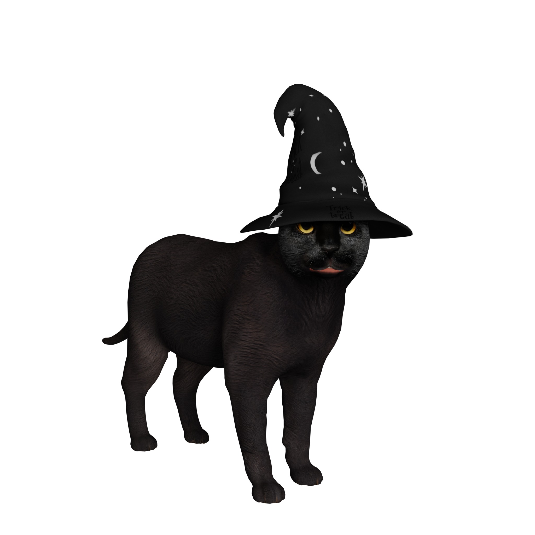 Halloween Black Cat Low-poly 3D model_25