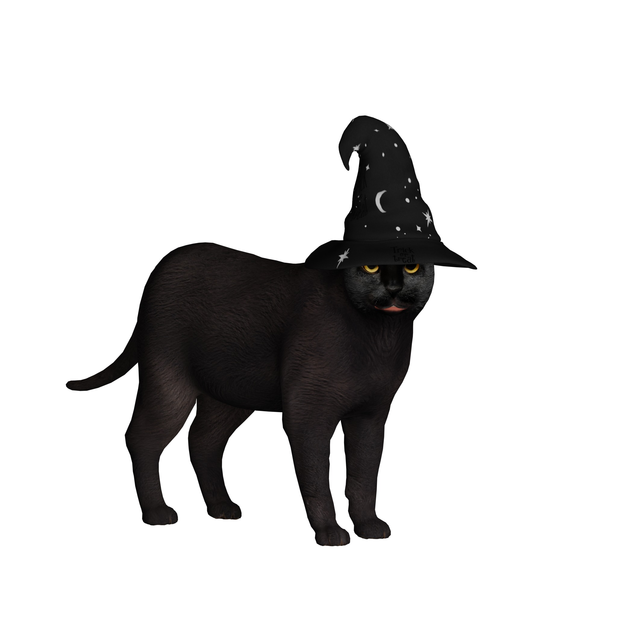 Halloween Black Cat Low-poly 3D model_27