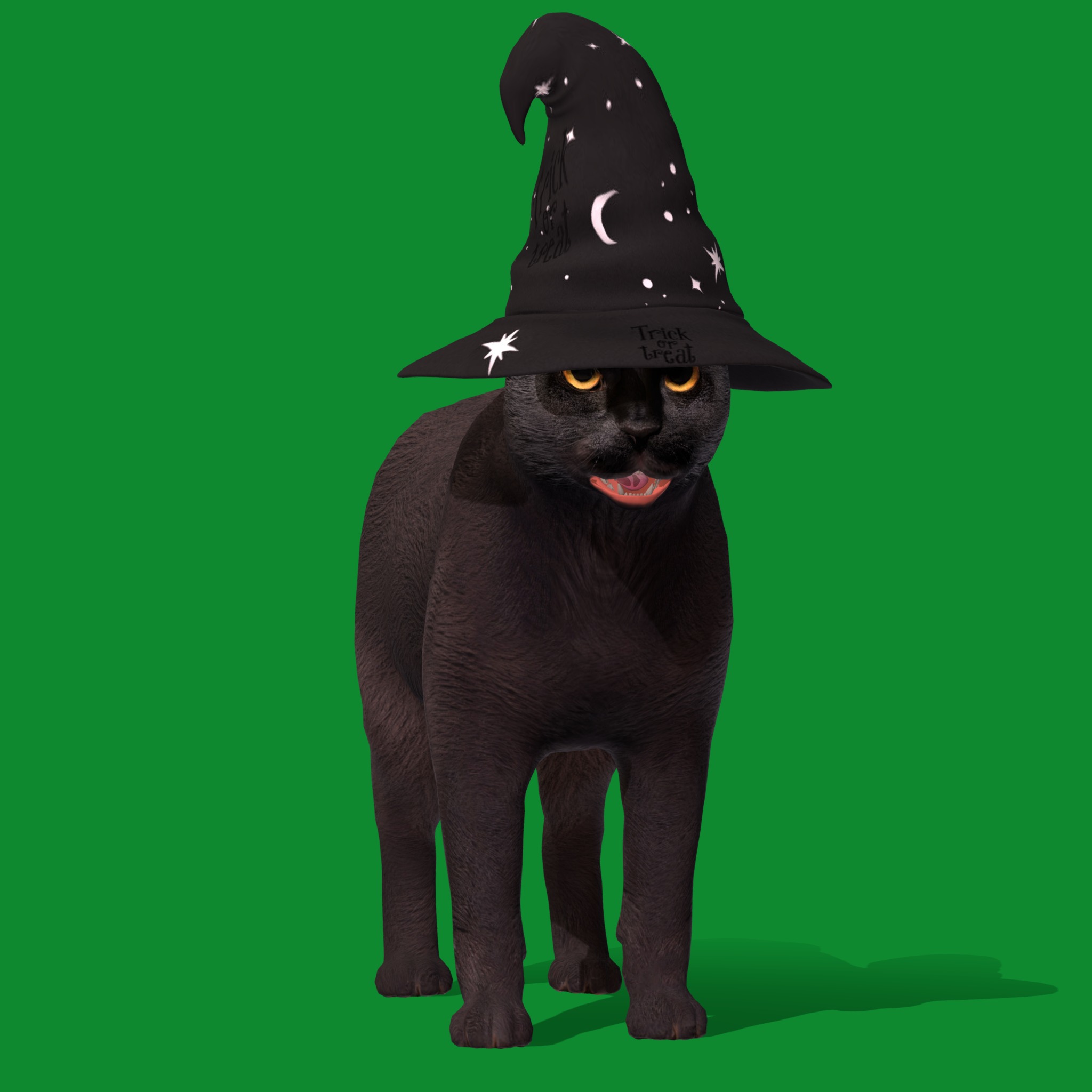 Halloween Black Cat Low-poly 3D model_16