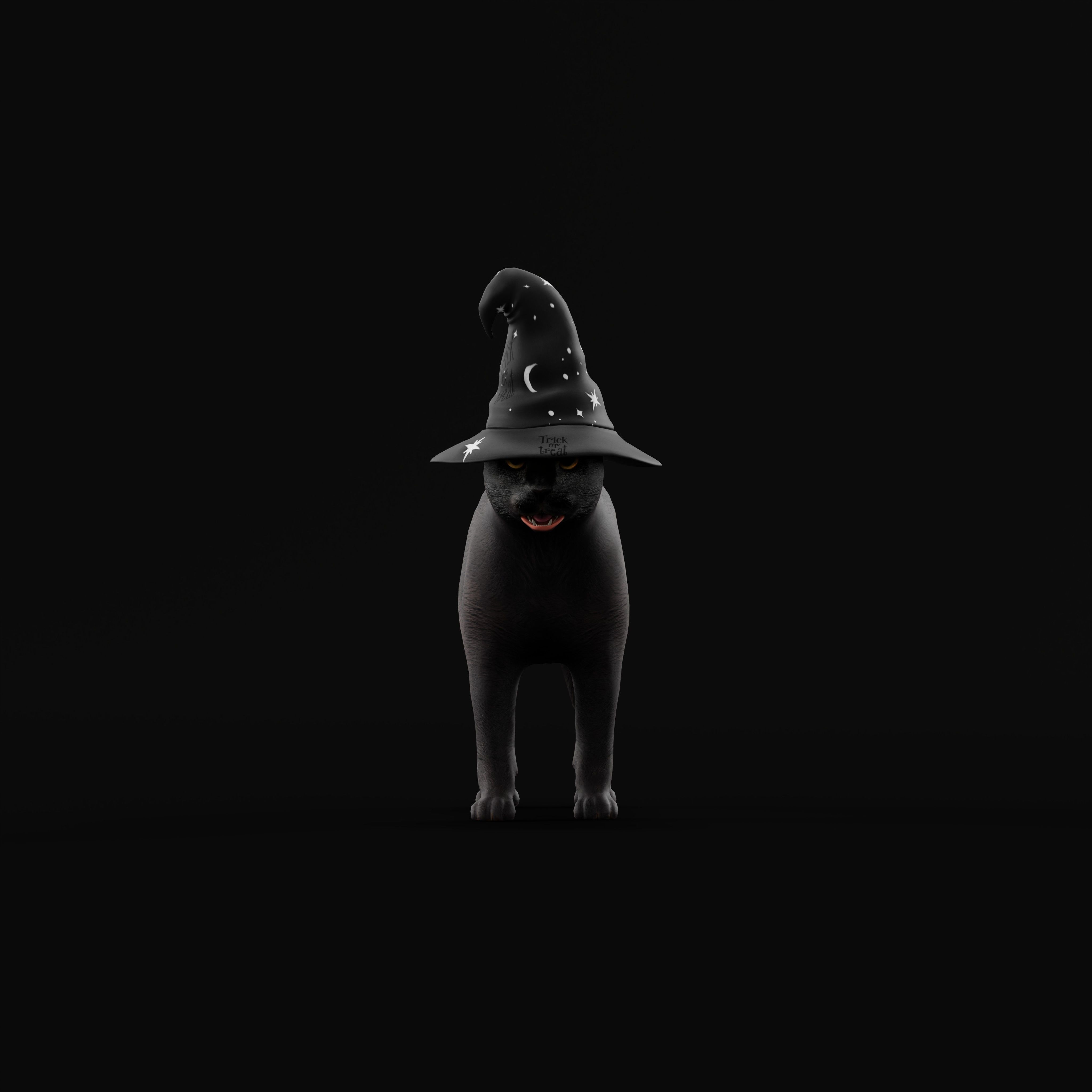 Halloween Black Cat Low-poly 3D model_37