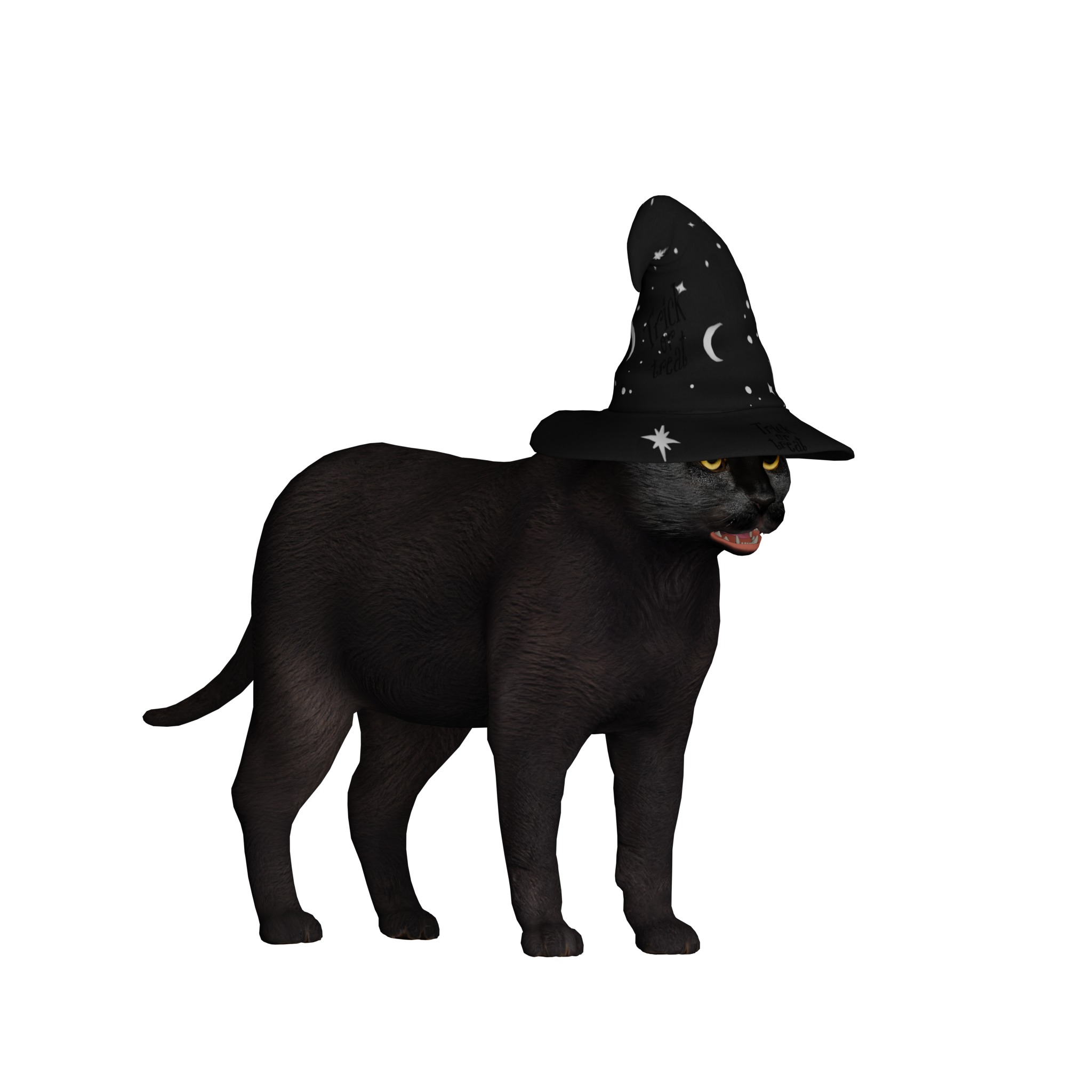 Halloween Black Cat Low-poly 3D model_26