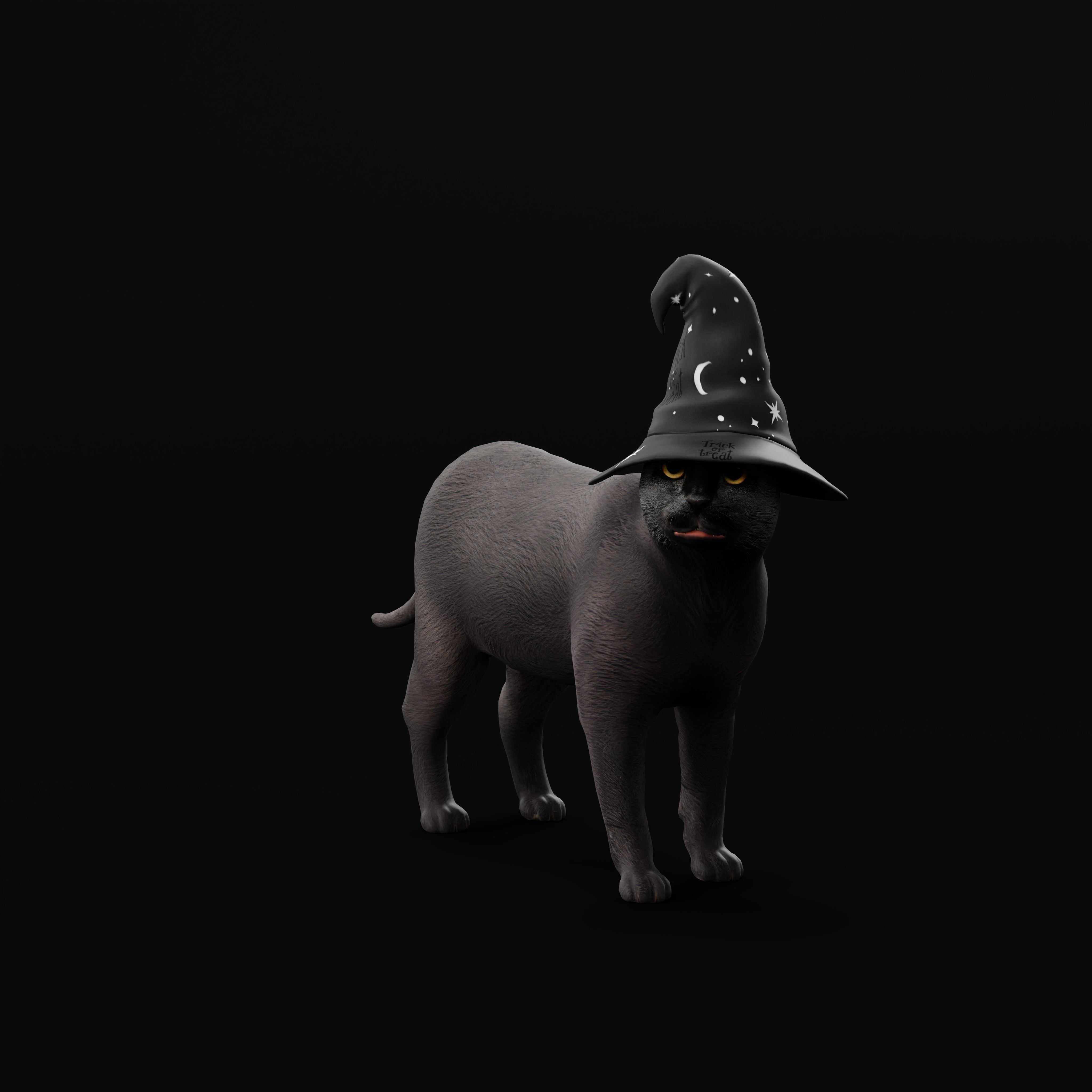 Halloween Black Cat Low-poly 3D model_40