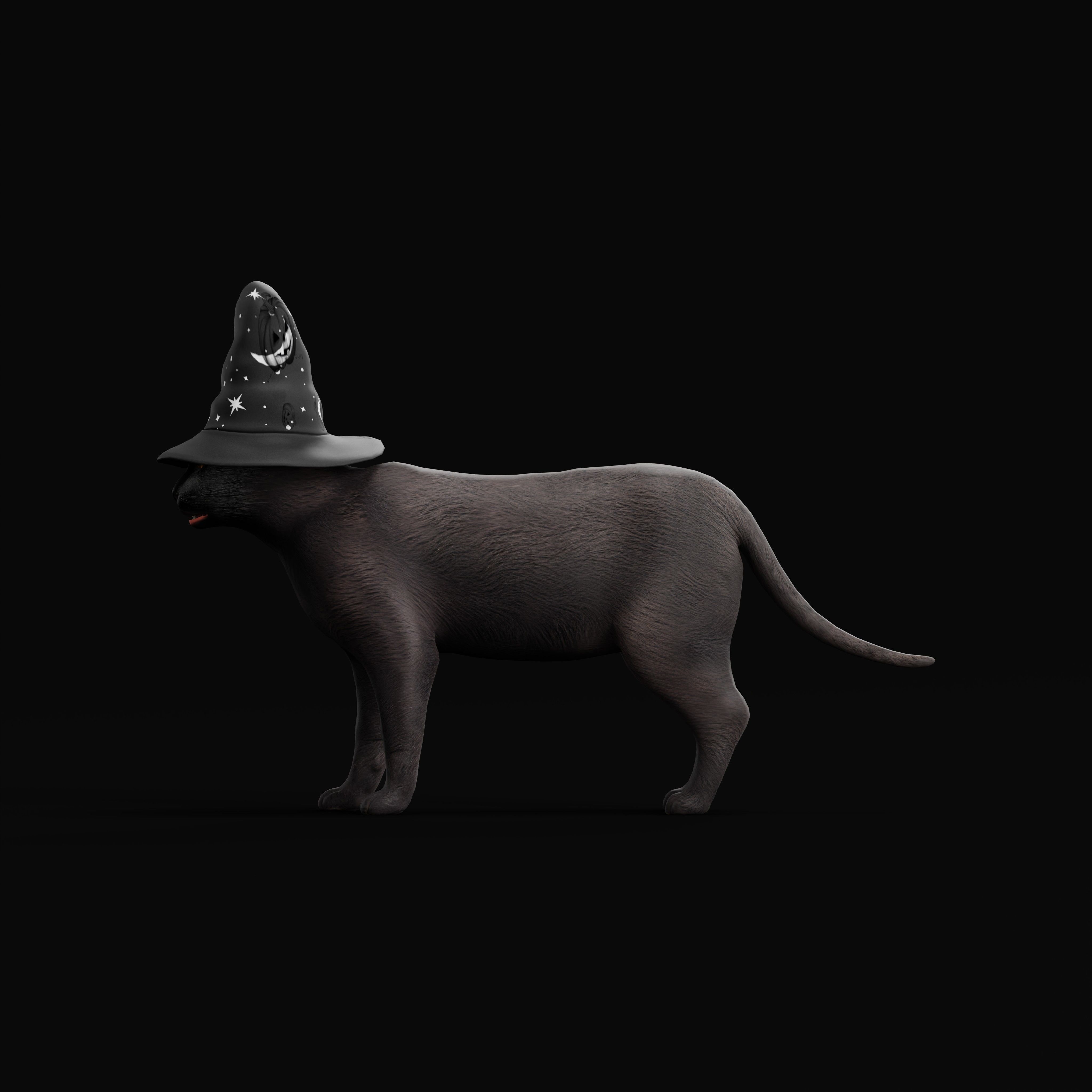Halloween Black Cat Low-poly 3D model_38