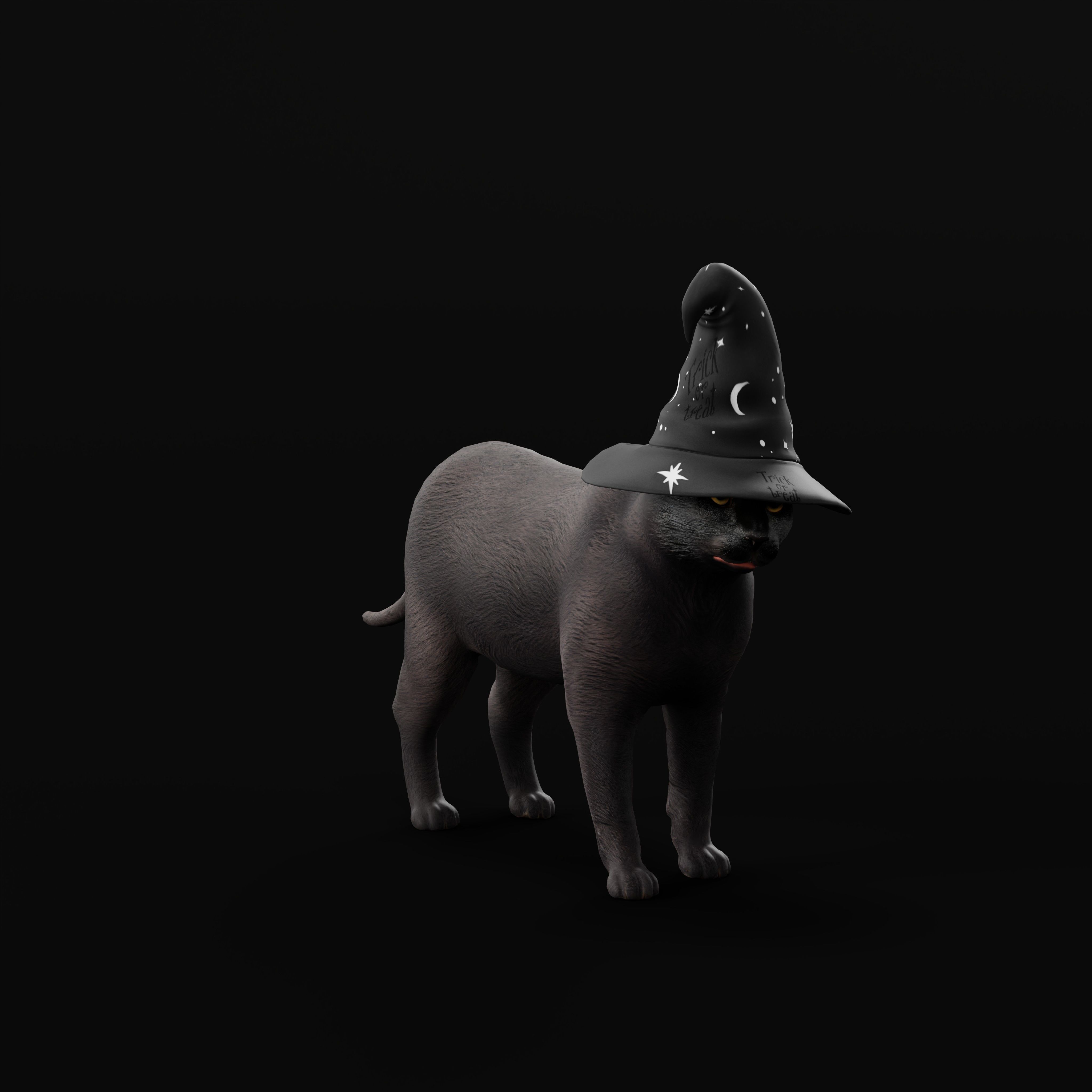 Halloween Black Cat Low-poly 3D model_36