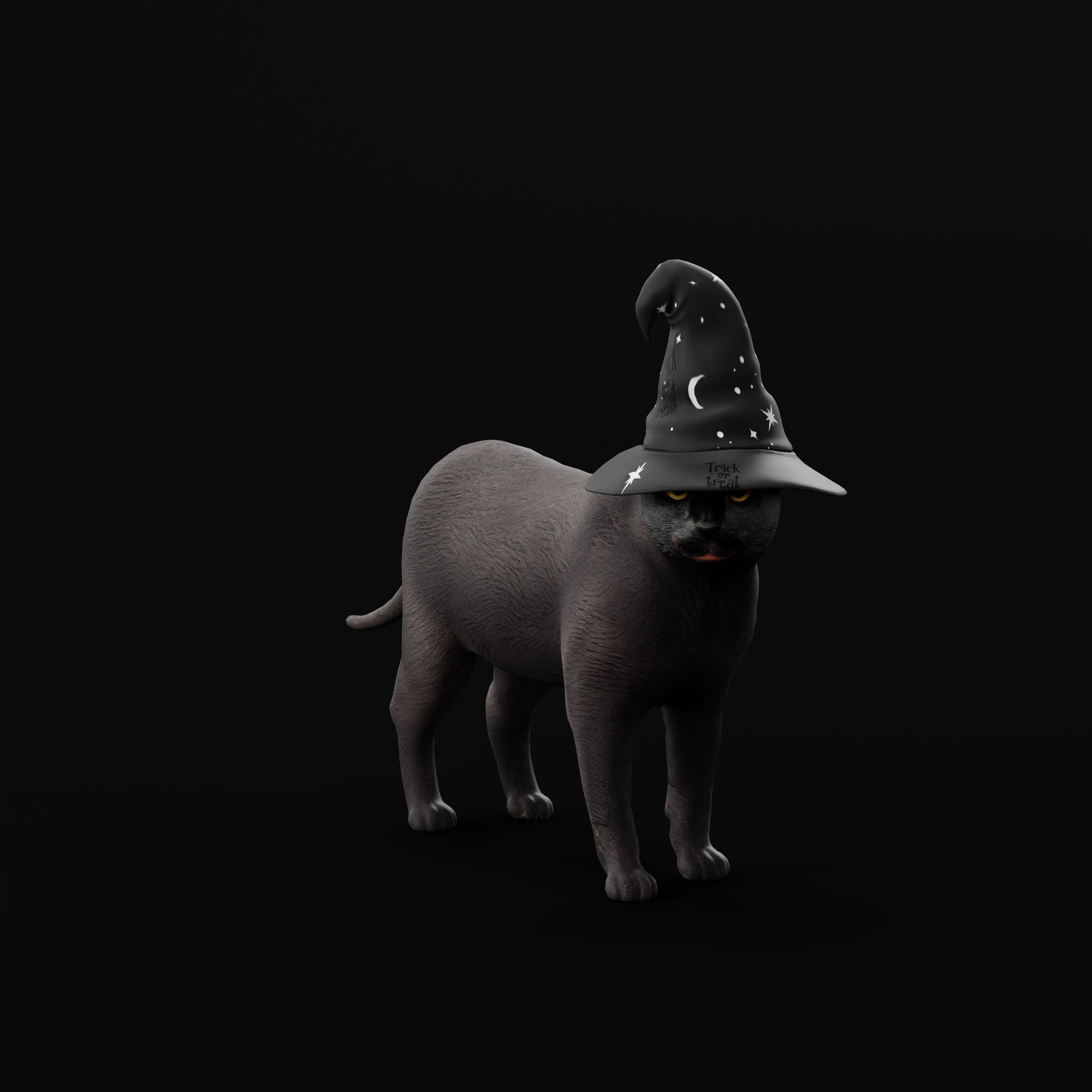 Halloween Black Cat Low-poly 3D model_42