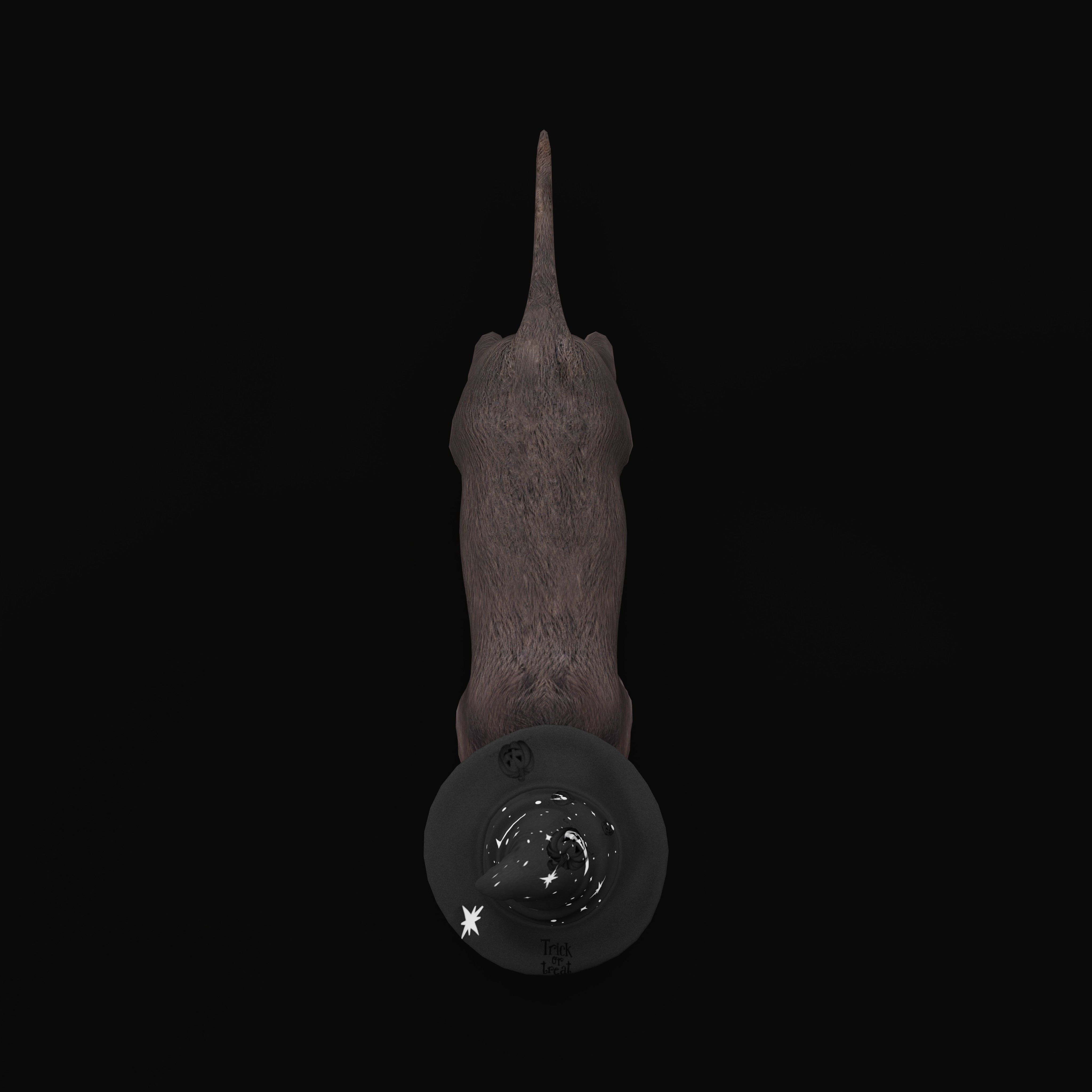 Halloween Black Cat Low-poly 3D model_41